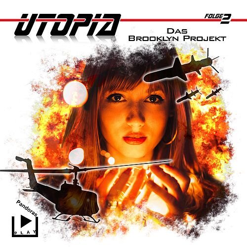 Cover „Das Brooklyn-Projekt“